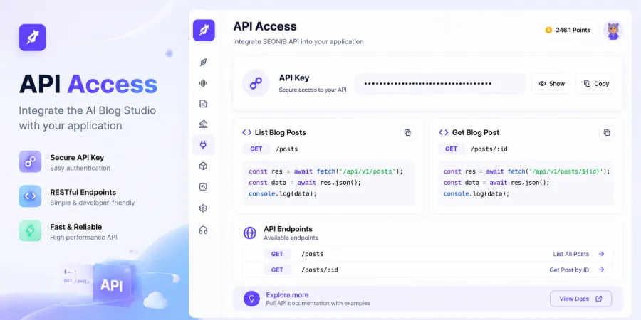 API Integration Management Interface